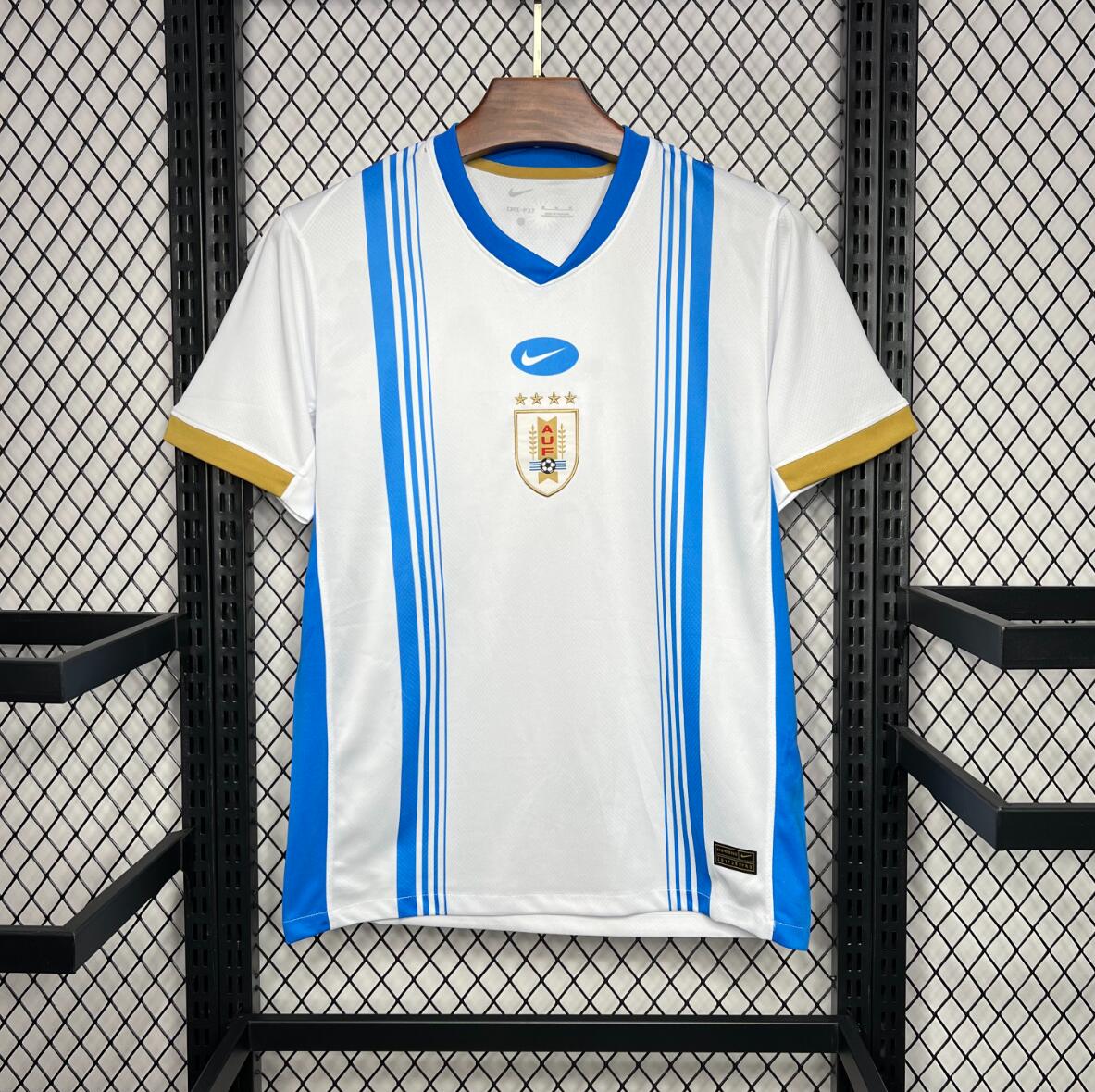 Camiseta Uruguay Pre-match 24/25