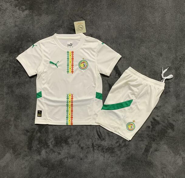 Camiseta Senegal Primera Equipación 2025 Niño